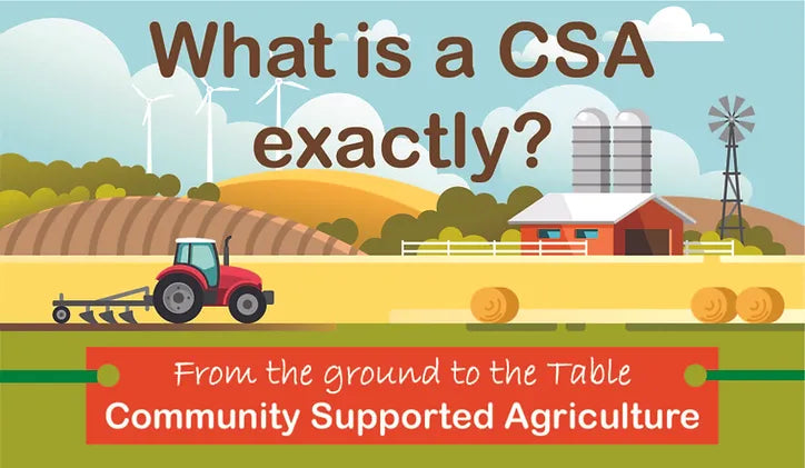 Community Supported Agriculture