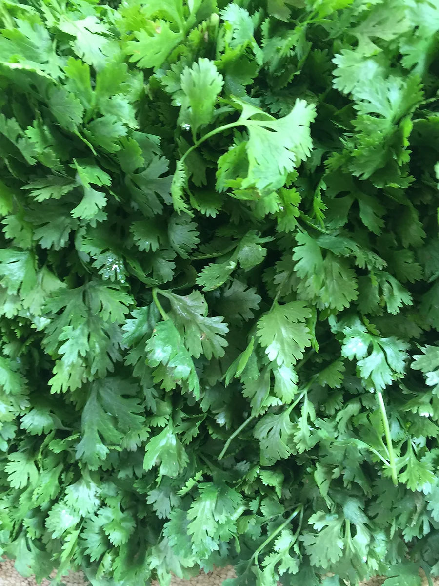 Creamy Cilantro Dressing