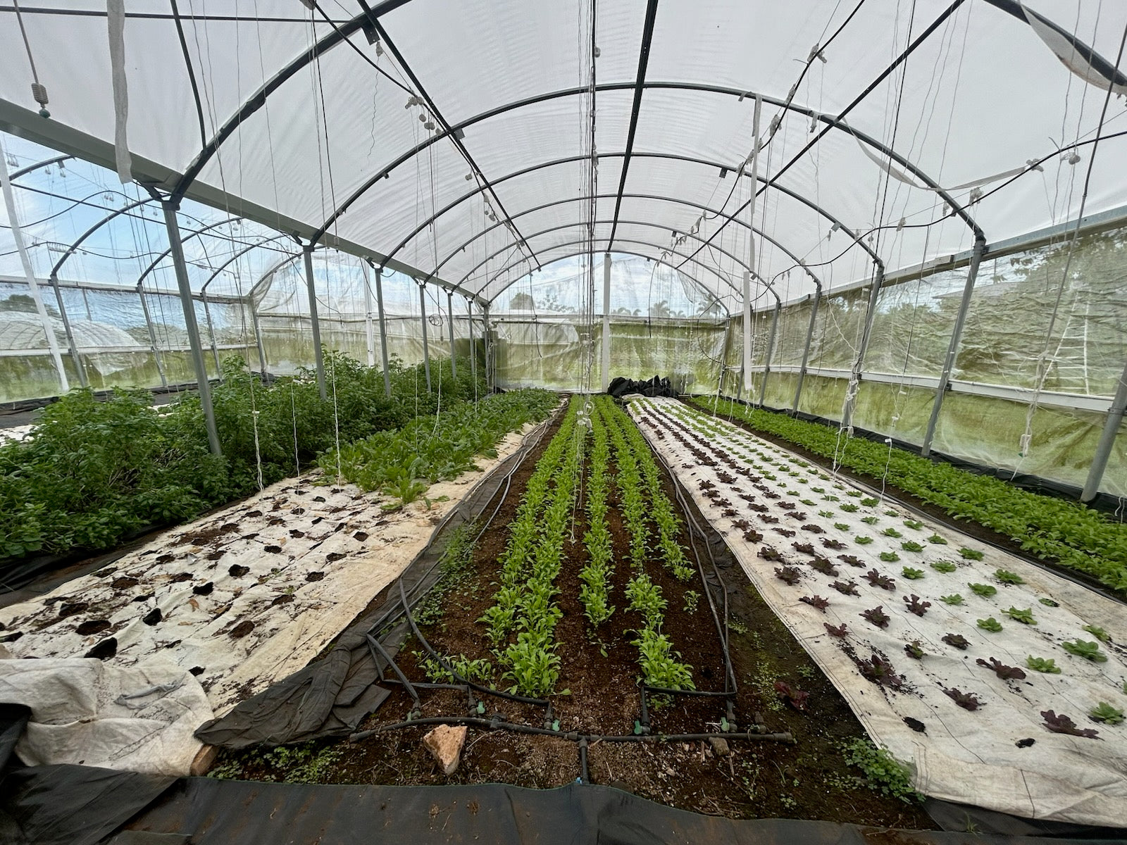 Meet Your Producer: Chad's Organics