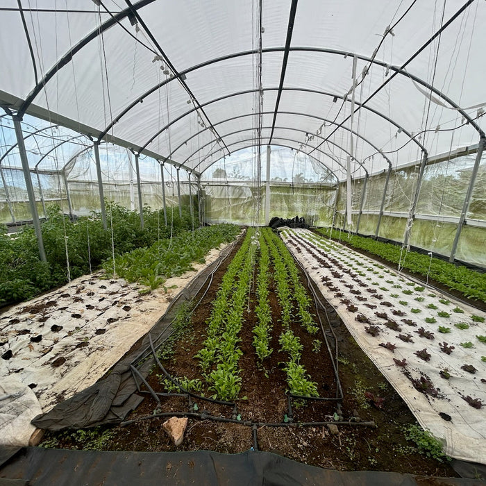 Meet Your Producer: Chad's Organics