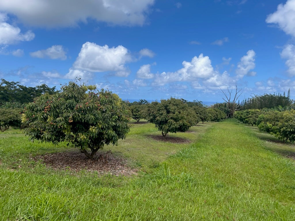 Meet Your Producer: Agro Resources, Inc.