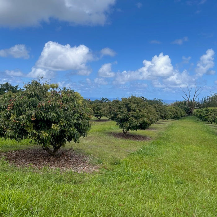 Meet Your Producer: Agro Resources, Inc.