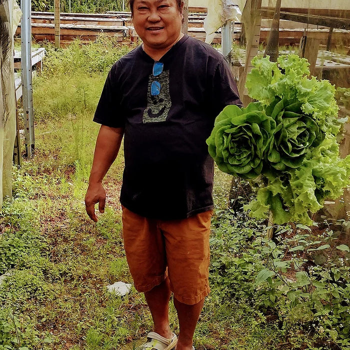 Meet Your Producers: Johnald and Family, S. Andres Hydroponics