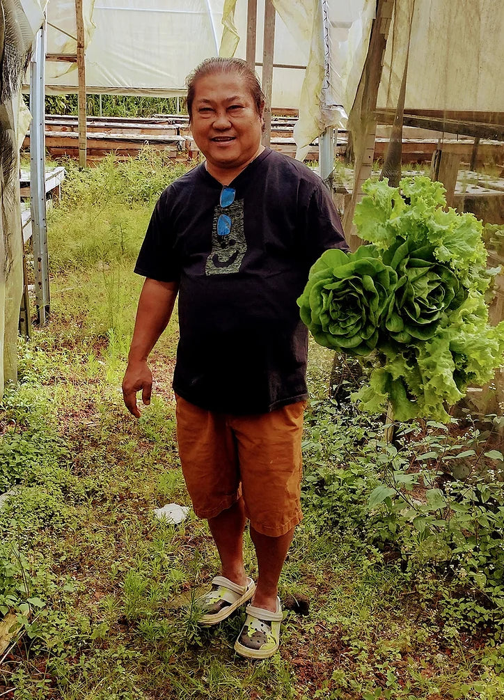 Meet Your Producers: Johnald and Family, S. Andres Hydroponics