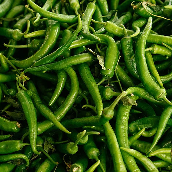 Gochu Doenjang Muchim - (Green Korean Peppers Seasoned with Doenjang)