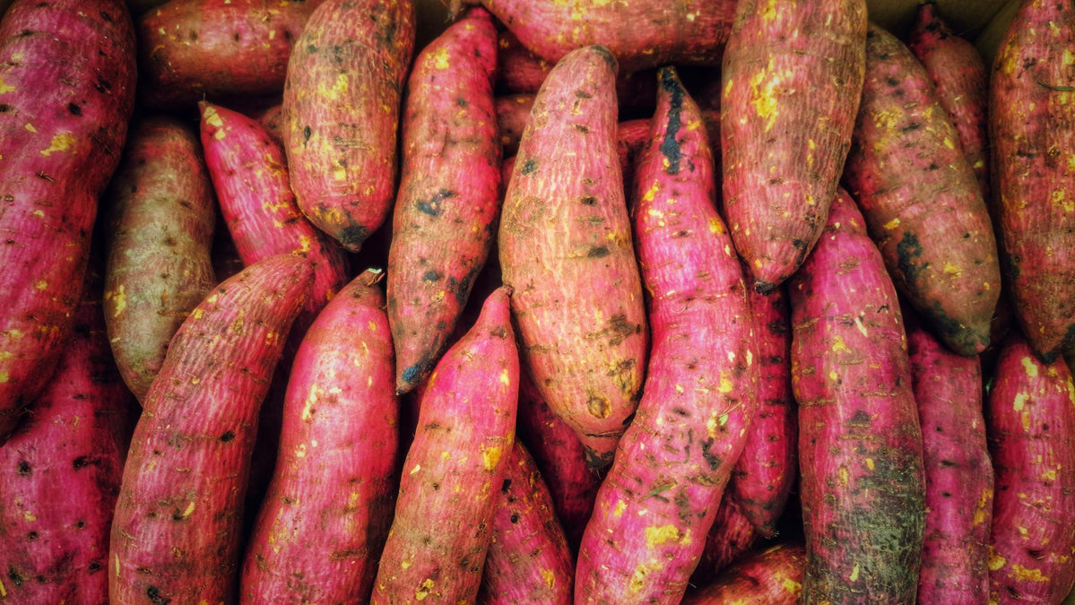 Purple Sweet Potato Mash — DA BOX Community Supported Agriculture - A Program of The Food Basket