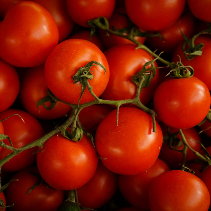 Stuffed Tomatoes