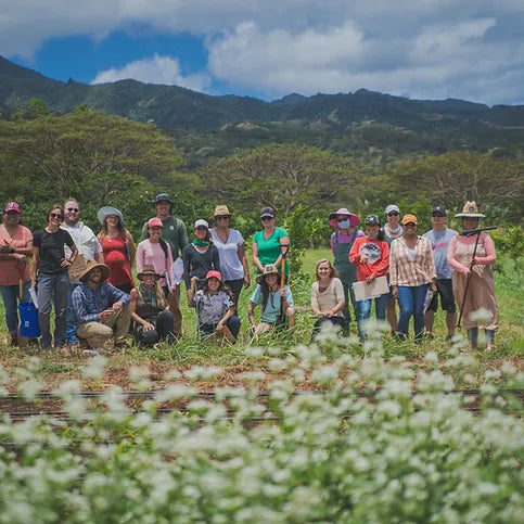 The Hawai'i Women Farmers Network (WFN)