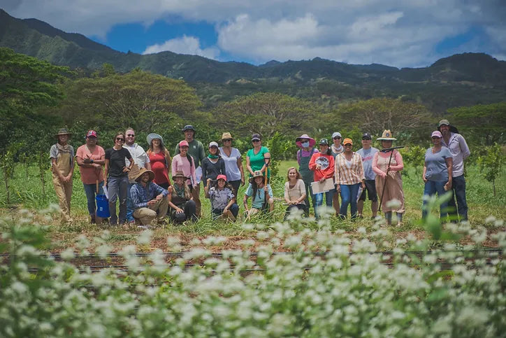 The Hawai'i Women Farmers Network (WFN)