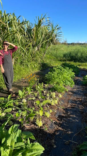 Meet Your Producers: Kulaniapia Farms