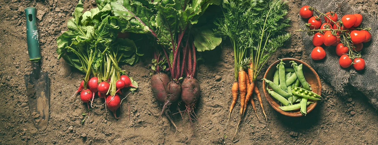 What Exactly is a CSA?