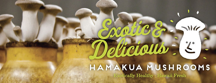 Meet the producers: Hamakua Mushrooms