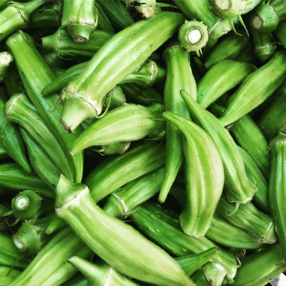 Fried Okra — DA BOX Community Supported Agriculture - A Program of The Food Basket