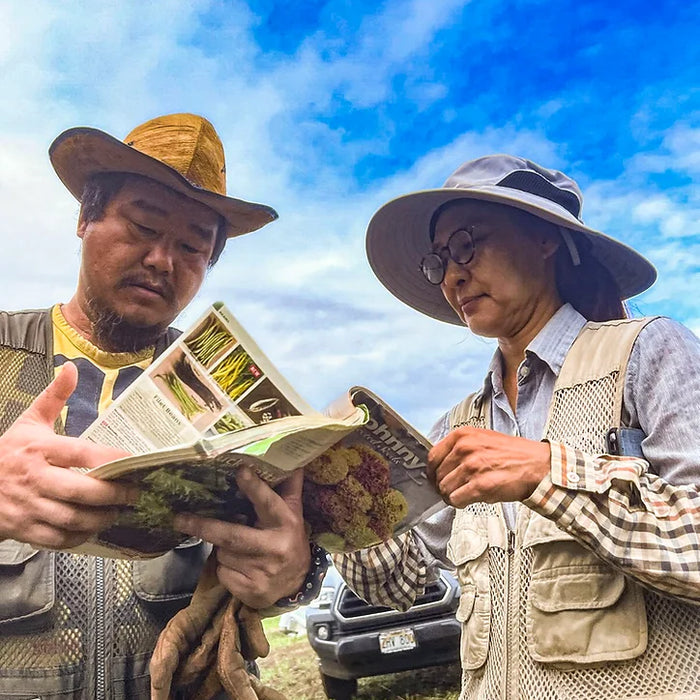 Meet your Producers: Green Farm