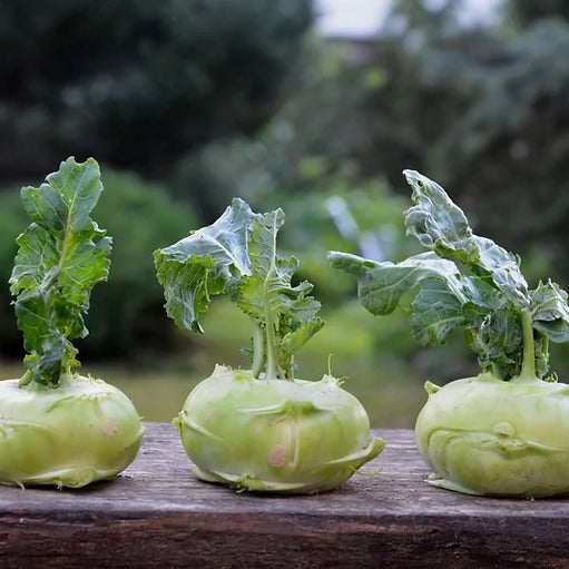 What the heck is kohlrabi?