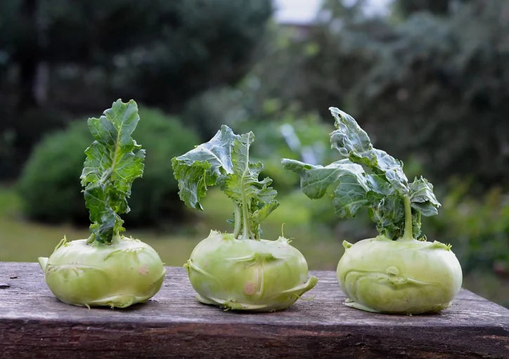 What the heck is kohlrabi?