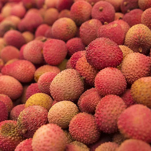 Lychee, Lychee, Lychee