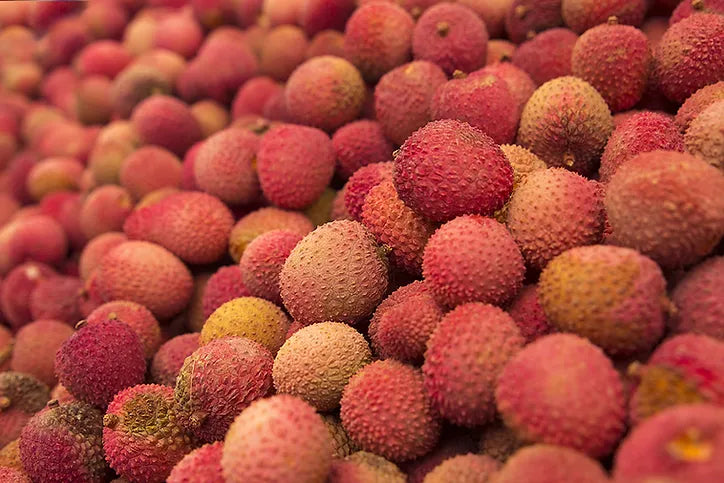 Lychee, Lychee, Lychee