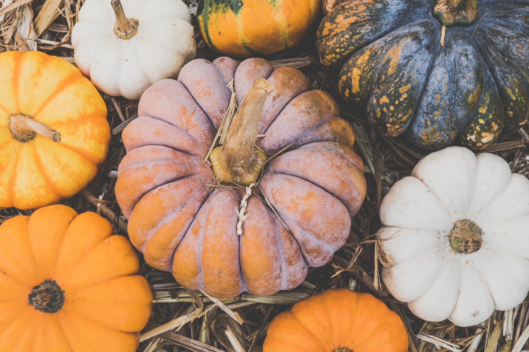 Kabocha Squash Soup