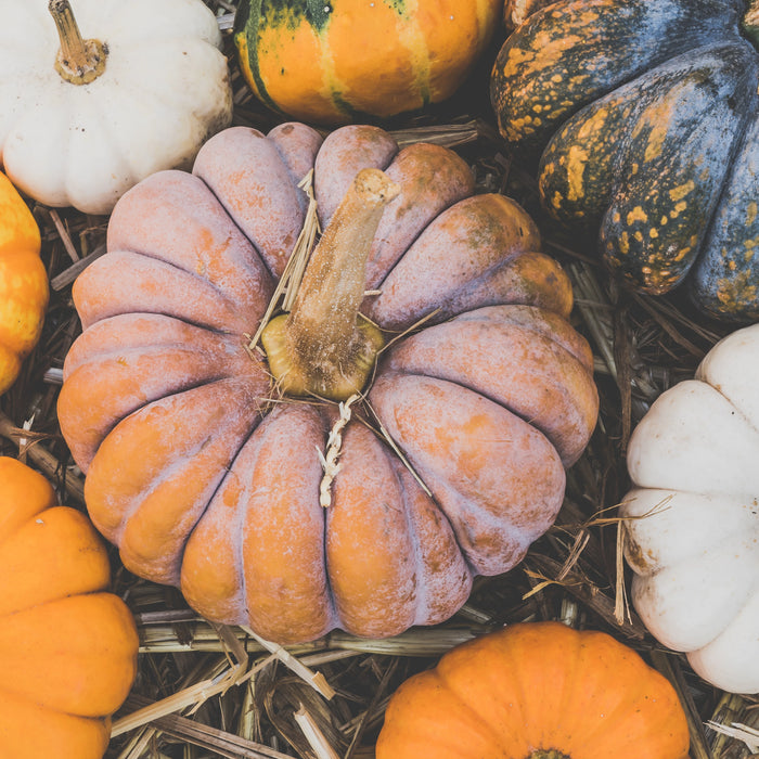 Kabocha Squash Soup