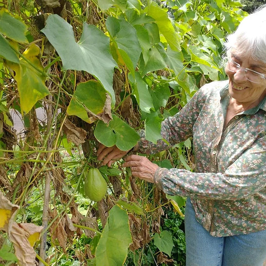 Meet the producers: The Family Farm