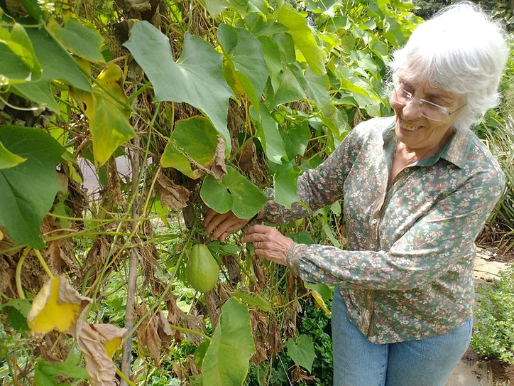 Meet the producers: The Family Farm