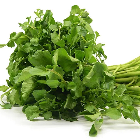 Spotlight on Watercress