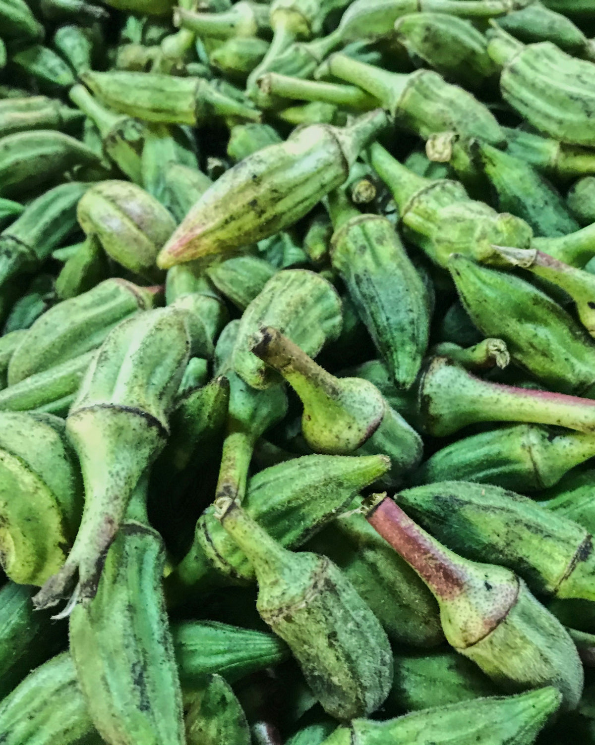 Roasted Okra — DA BOX Community Supported Agriculture - A Program of The Food Basket