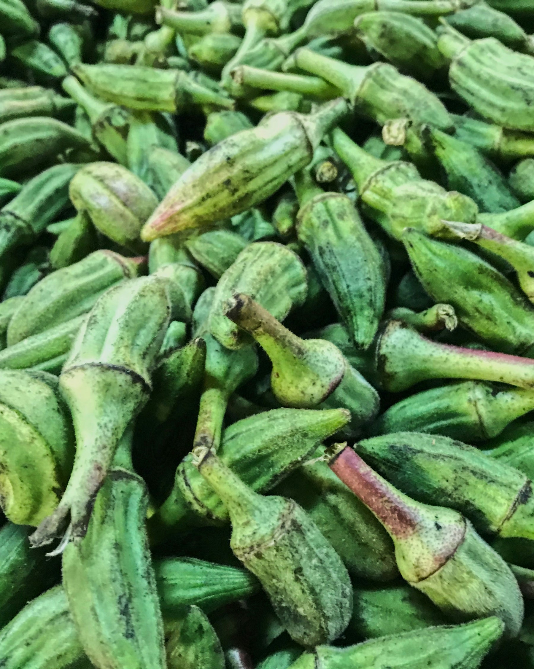 Roasted Okra