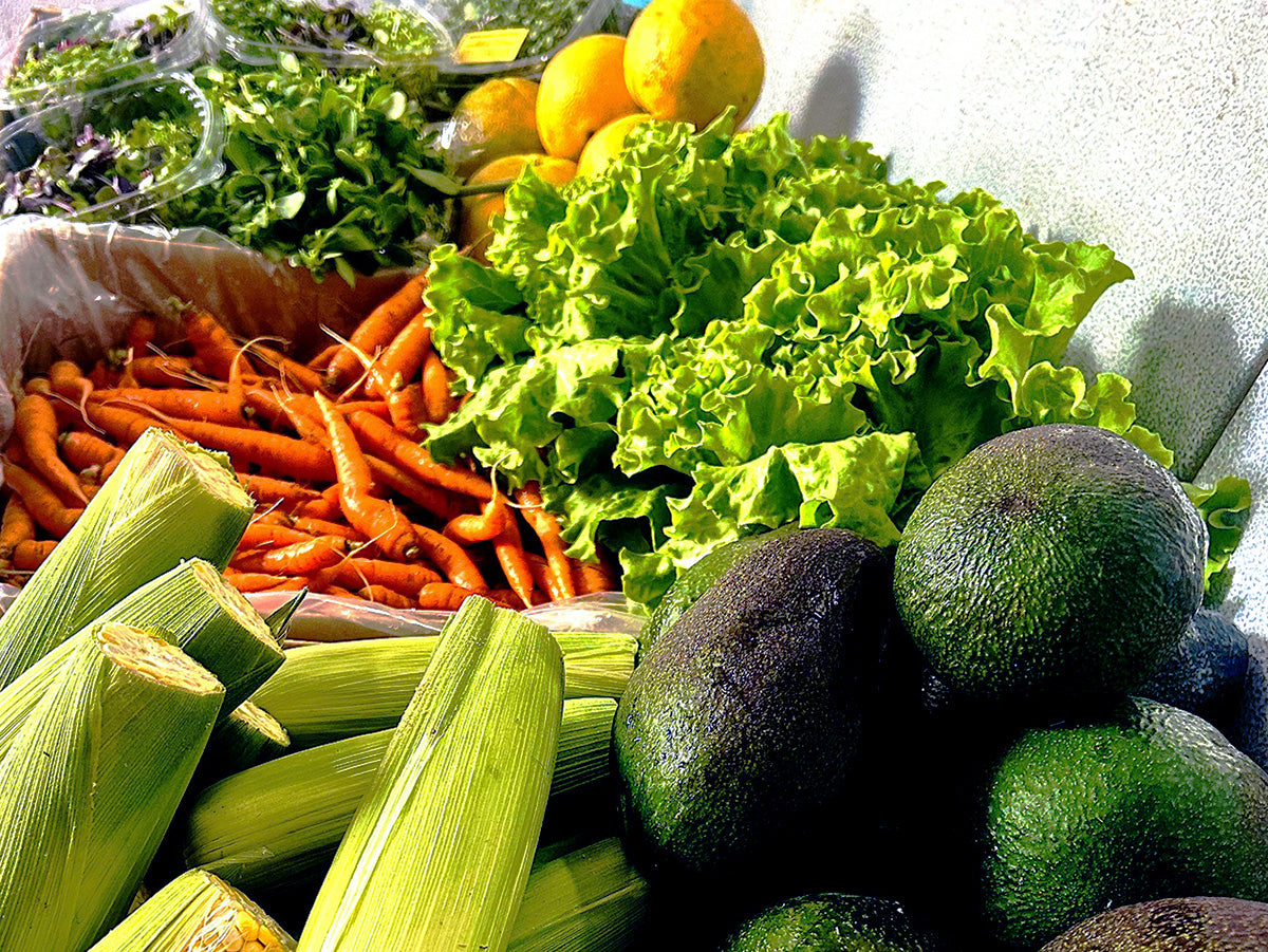 DA BOX CSA Subscription — DA BOX Community Supported Agriculture - A ...