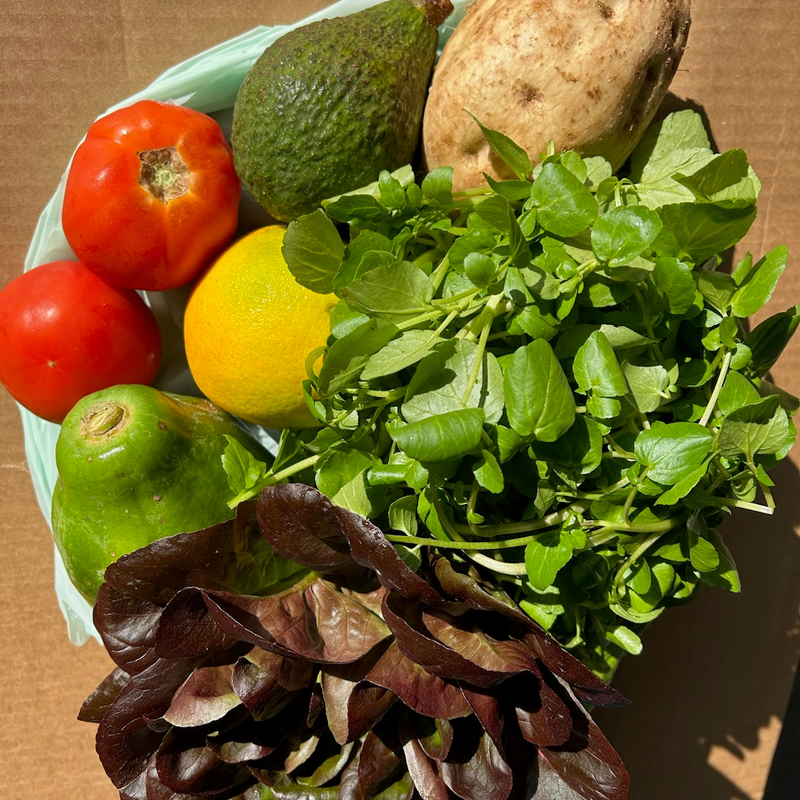 DA BOX Community Supported Agriculture - A Program of The Food Basket